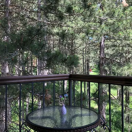 Time Out Zuti Apartament