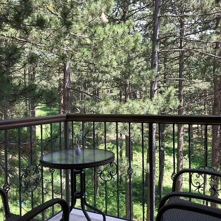 Time Out Zuti Apartament